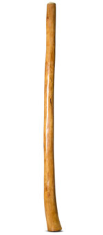 Gloss Finish Didgeridoo (TW1309)